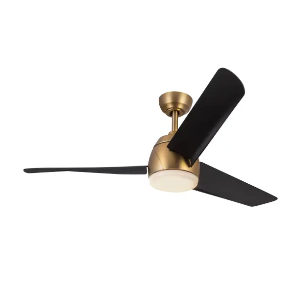 Thalia 54-Inch Ceiling Fan with Light - Image 38