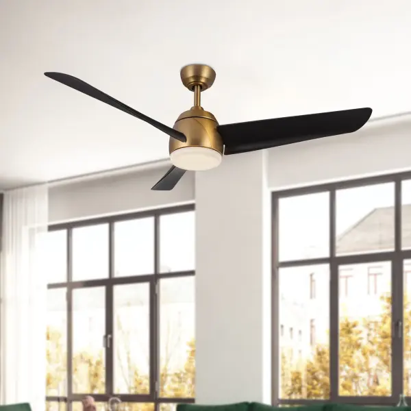 Thalia 54-Inch Ceiling Fan with Light - Image 6
