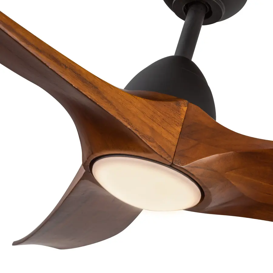 The Ceiling Fans by Kalco - Image 14