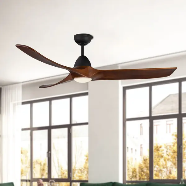 The Ceiling Fans by Kalco - Image 5