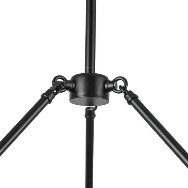 Nelly 26-Inch Chandelier in Brushed Gold with Clear Ribbed Glass - Image 15