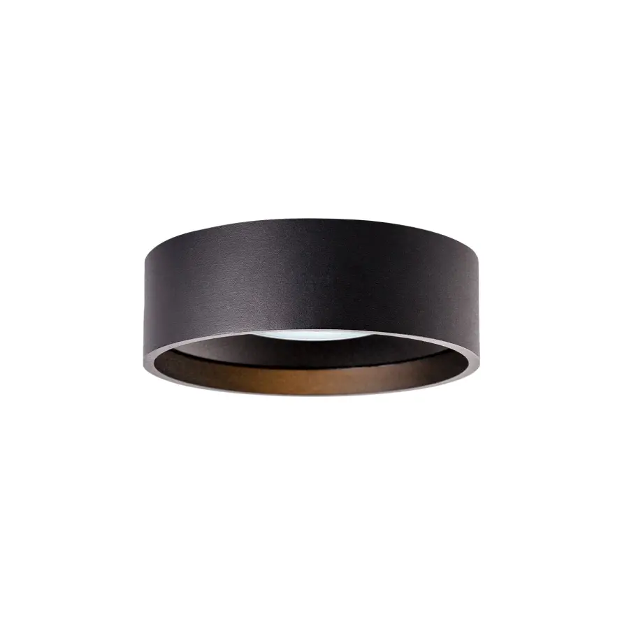 Trenton 5-Inch Exterior Ceiling Light - Image 1