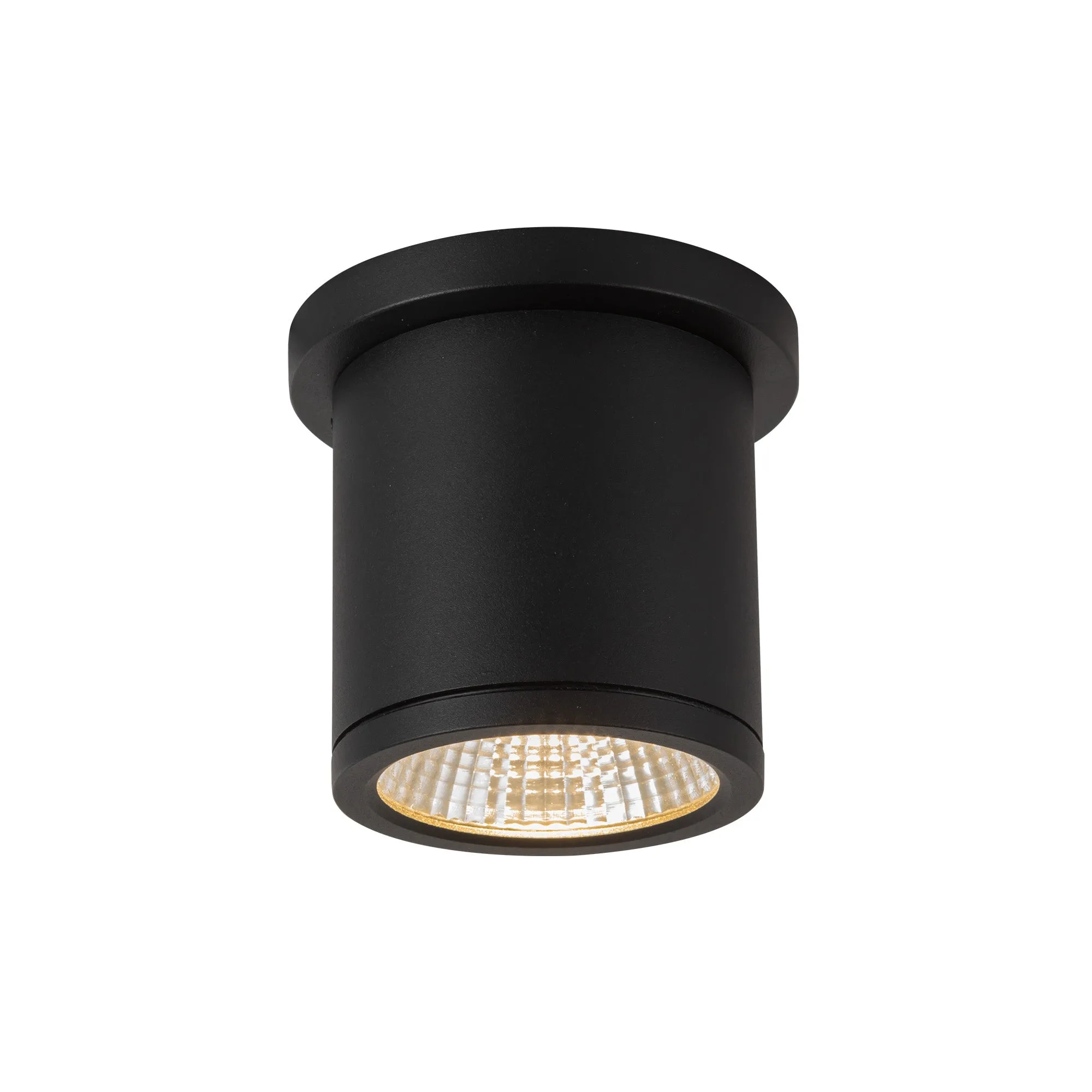 Nordic 4-Inch Exterior Ceiling Light