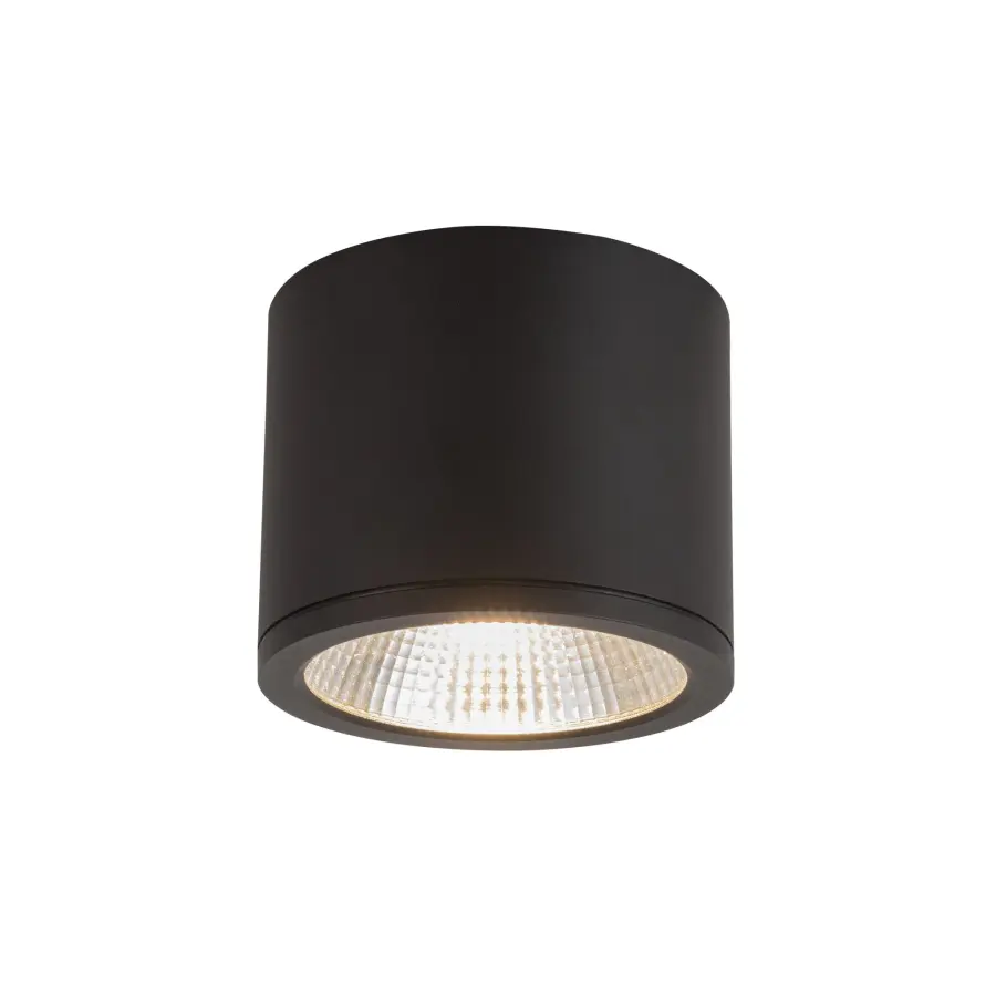 Nordic 4-Inch Exterior Ceiling Light - Image 1