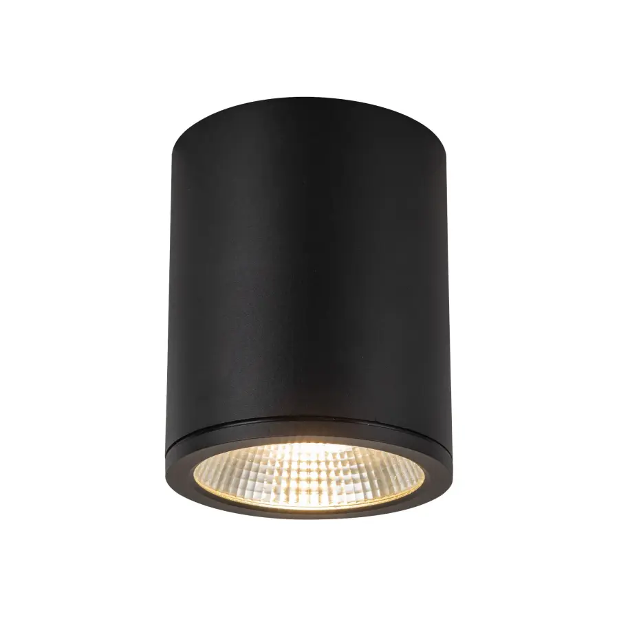 Nordic 6-Inch Exterior Ceiling Light - Image 1