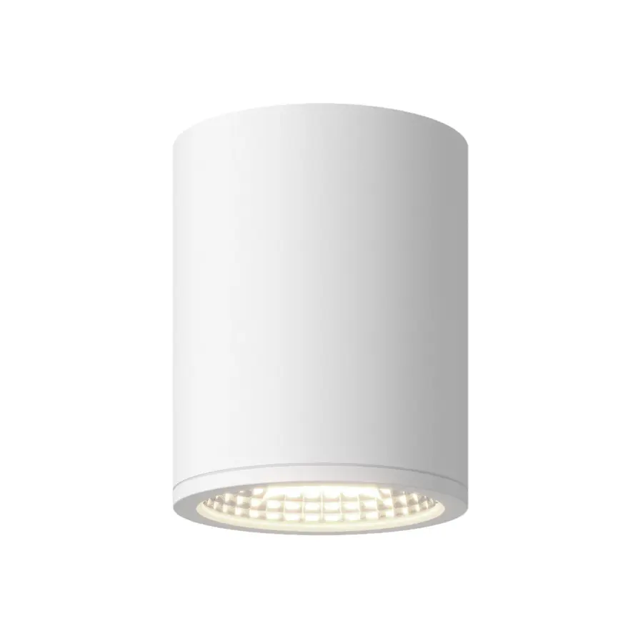 Nordic 6-Inch Exterior Ceiling Light - Image 2