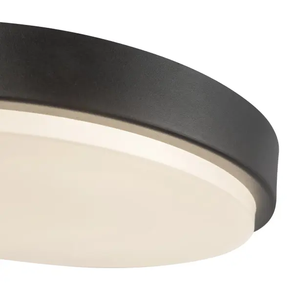 Versatile Modern Flush Mount with Adjustable Color Temperature - Image 3