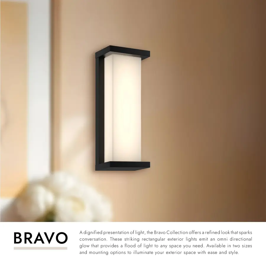 Bravo 14" Exterior Wall Sconce - Image 5