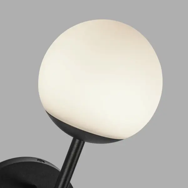 Modern Outdoor Elegance with Versatile Indoor-Outdoor Design - Image 6