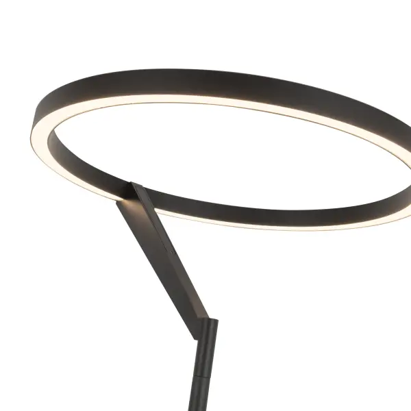 Roda 66-Inch Floor Lamp - Image 4