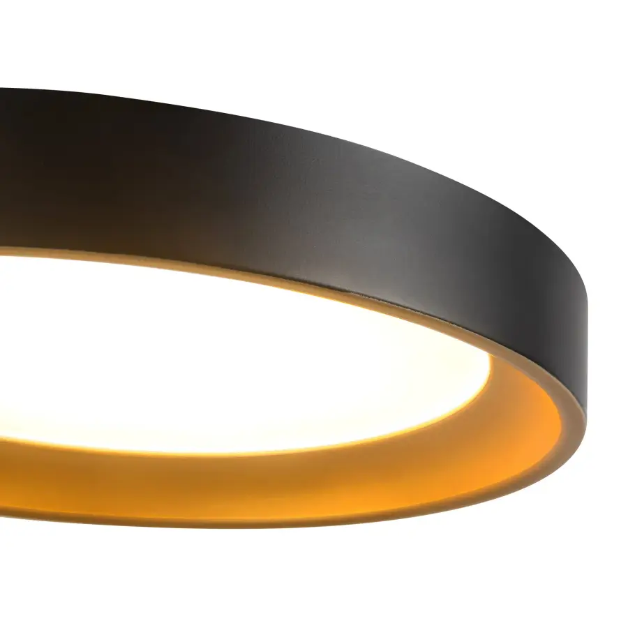 Sleek Modern Flush Mount with Adjustable Color Temperature - Image 3