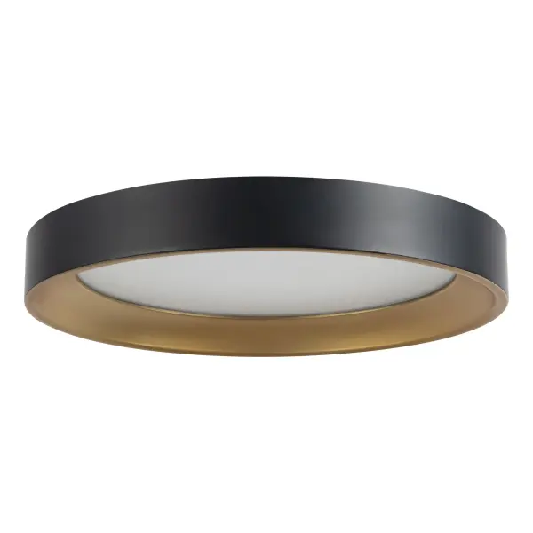 Sleek Modern Flush Mount with Adjustable Color Temperature - Image 5