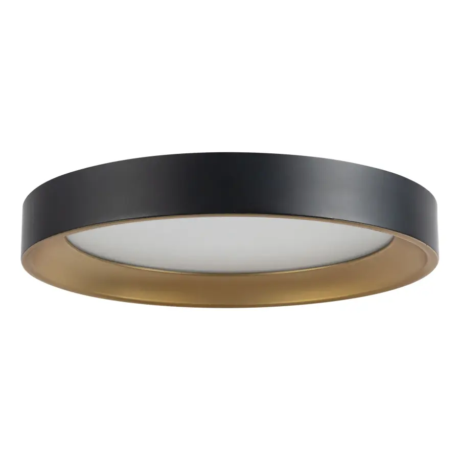 Sleek Modern Flush Mount with Adjustable Color Temperature - Image 5