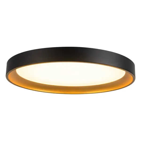 Sleek Modern Flush Mount with Adjustable Color Temperature - Image 3