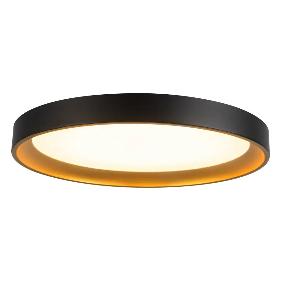 Sleek Modern Flush Mount with Adjustable Color Temperature - Image 3
