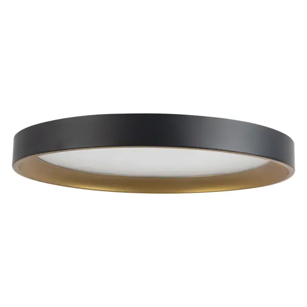 Sleek Modern Flush Mount with Adjustable Color Temperature - Image 5