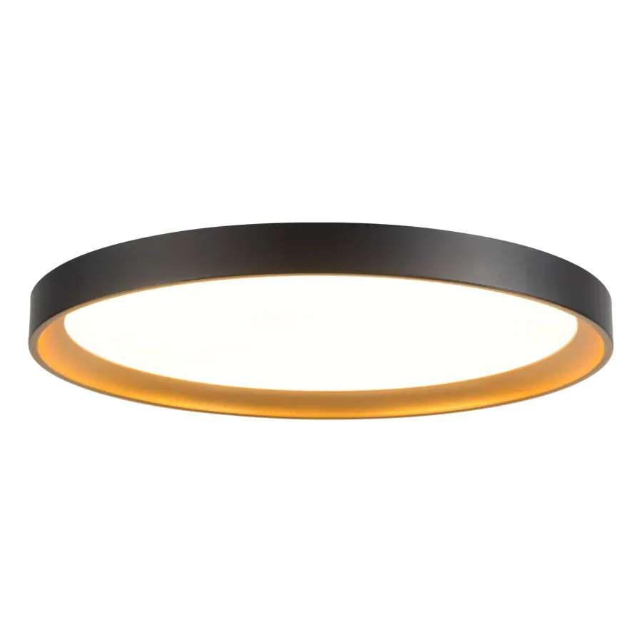 Sleek Modern Flush Mount with Adjustable Color Temperature - Image 1