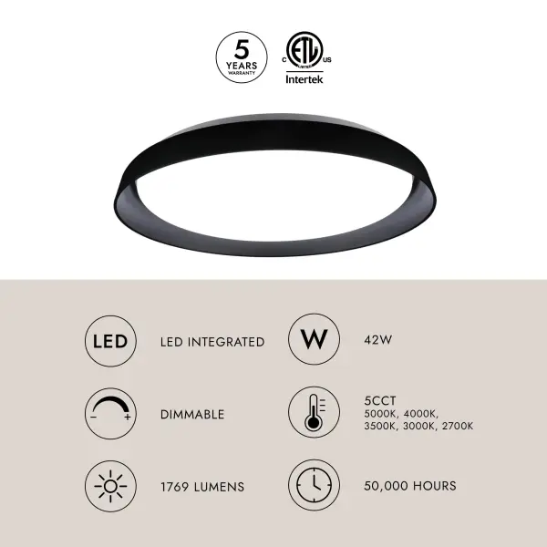 Hampton 21-Inch Flush Mount Light - Image 7