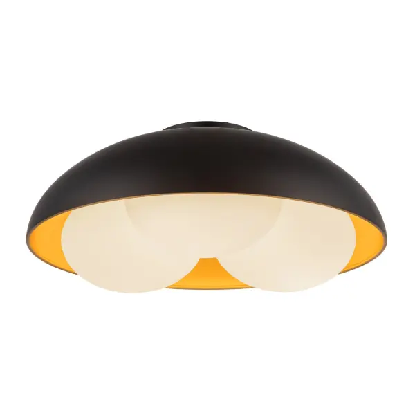 Nature-Inspired Flush Mount with Warm, Diffused Lighting - Image 19