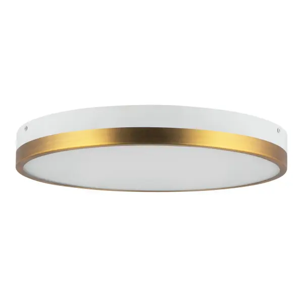 Elegant Mixed Metal Flush Mount with Adjustable Color Temperature - Image 8