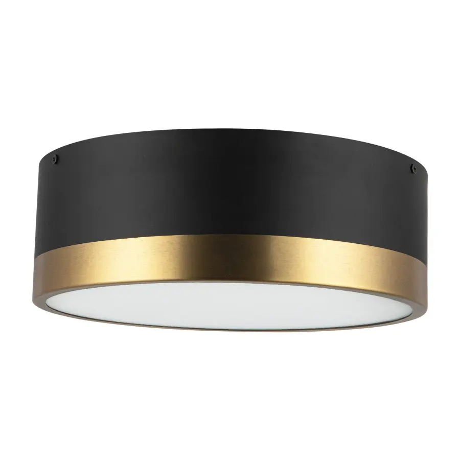 Brisbane 12-Inch Flush Mount in Aged Gold/Matte Black - Image 3