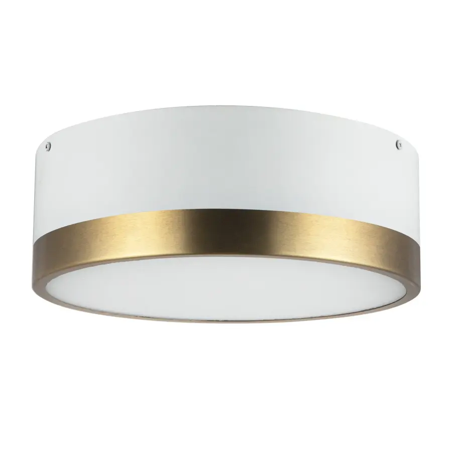 Brisbane 12-Inch Flush Mount in Aged Gold/Matte Black - Image 8