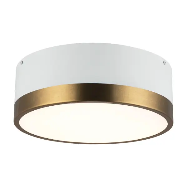 Brisbane 12-Inch Flush Mount in Aged Gold/Matte Black - Image 9