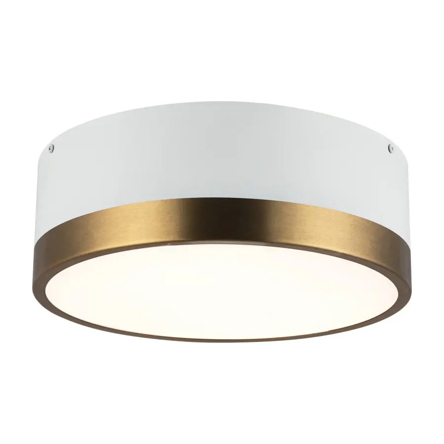 Brisbane 12-Inch Flush Mount in Aged Gold/Matte Black - Image 9