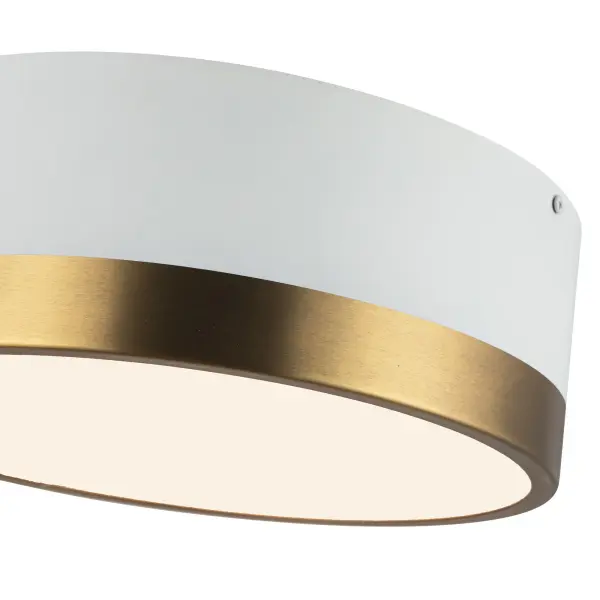 Brisbane 12-Inch Flush Mount in Aged Gold/Matte Black - Image 10