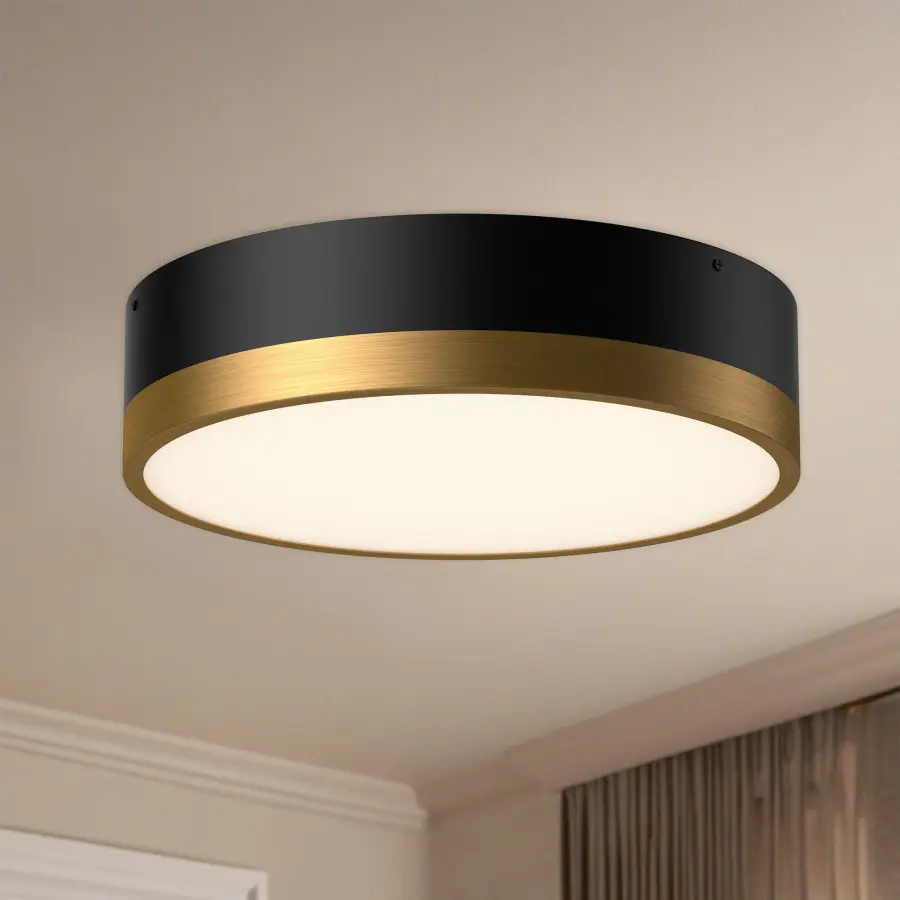 Brisbane 16" Flush Mount in Aged Gold/Matte Black - Image 11