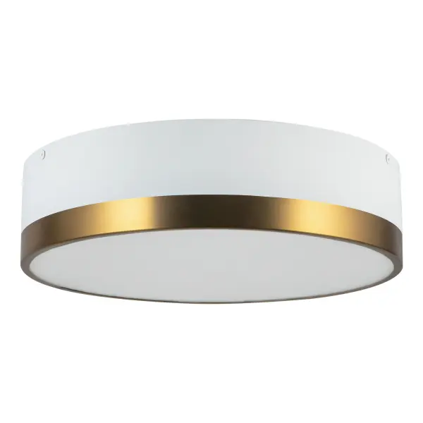 Brisbane 16" Flush Mount in Aged Gold/Matte Black - Image 8