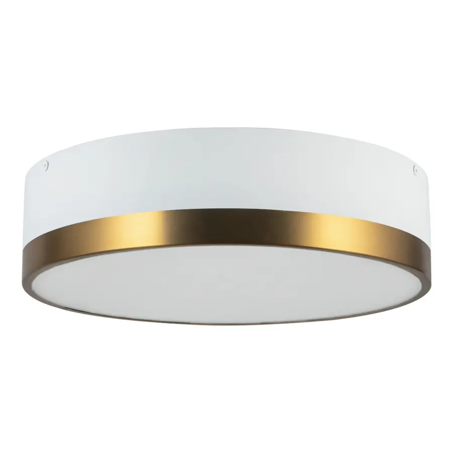 Brisbane 16" Flush Mount in Aged Gold/Matte Black - Image 8