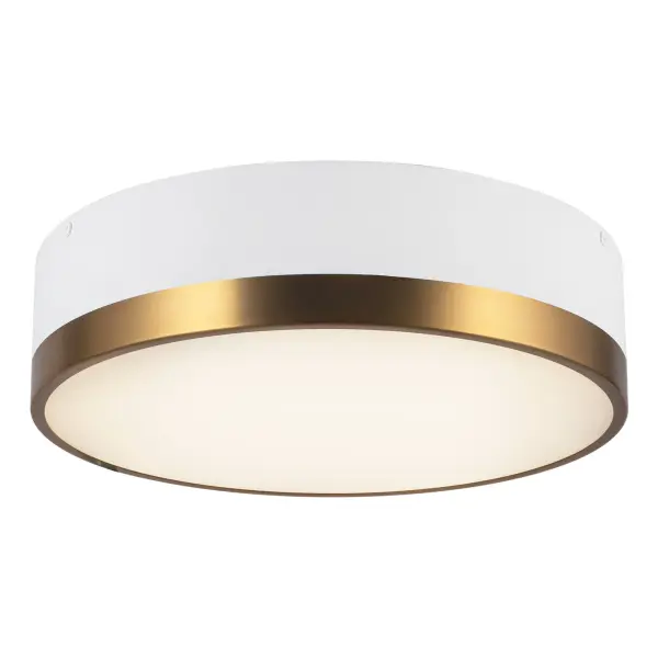 Brisbane 16" Flush Mount in Aged Gold/Matte Black - Image 9