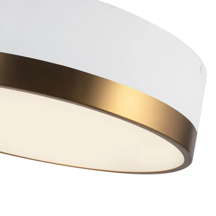 Brisbane 16" Flush Mount in Aged Gold/Matte Black - Image 10