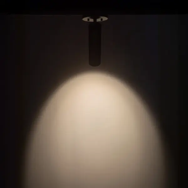The Lorna cylinder delivers minimalist design with professional-grade performance. Its compact 2-inch diameter and adjustable mounting make it ideal for accent lighting in tight spaces or commercial applications. - alternate view