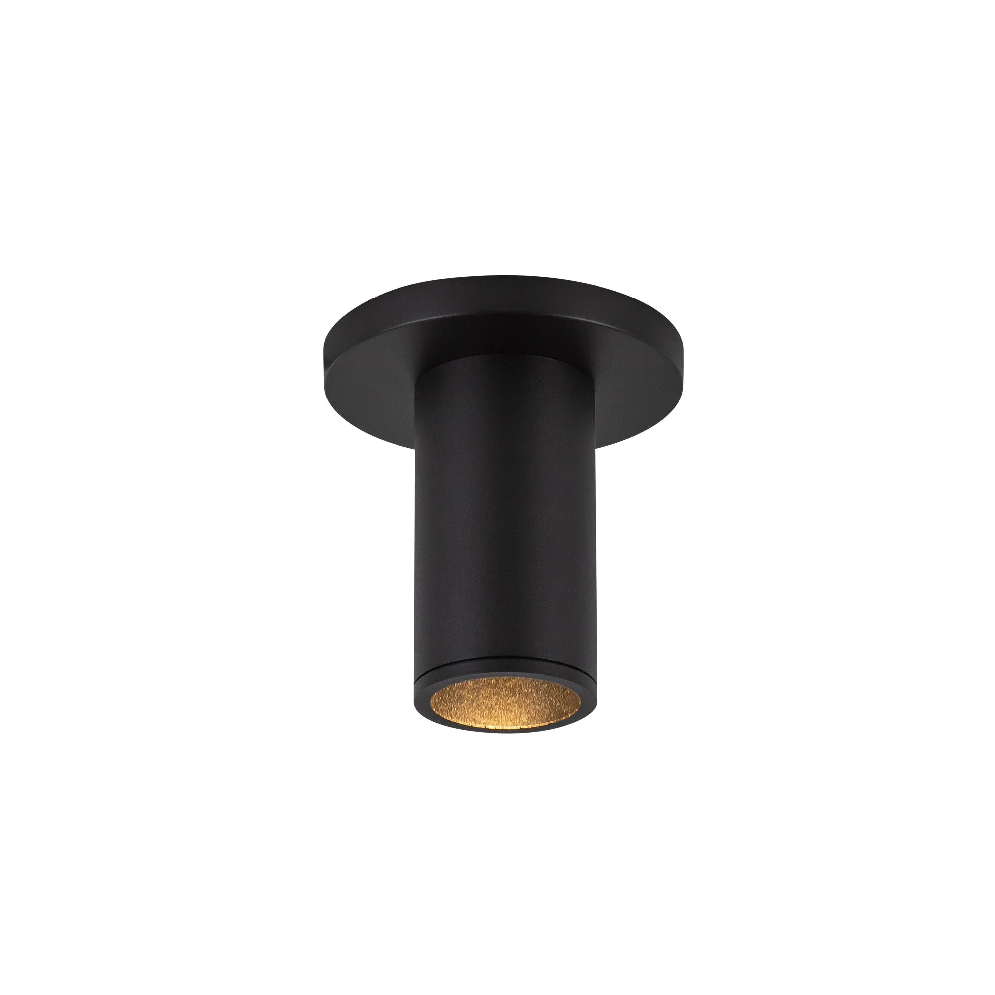 Lorna 4-Inch Ceiling Mount Cylinder
