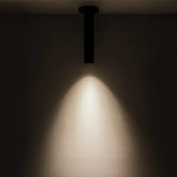 The Lorna 12-inch ceiling mount combines minimalist design with architectural-grade lighting performance. Its clean cylindrical form and exterior-rated finish make it versatile for both residential and commercial applications. - alternate view