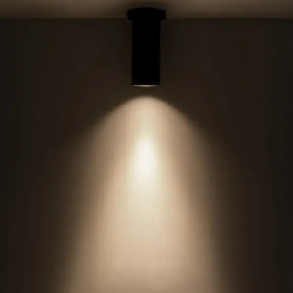 The Lorna 8-inch ceiling mount combines minimalist design with professional-grade performance. Its compact 3-inch diameter cylinder delivers focused illumination while maintaining a clean, unobtrusive profile. - alternate view
