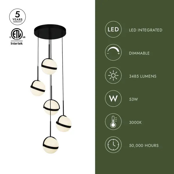 Globo 5-Light Multi Pendant in Matte Black - Image 4