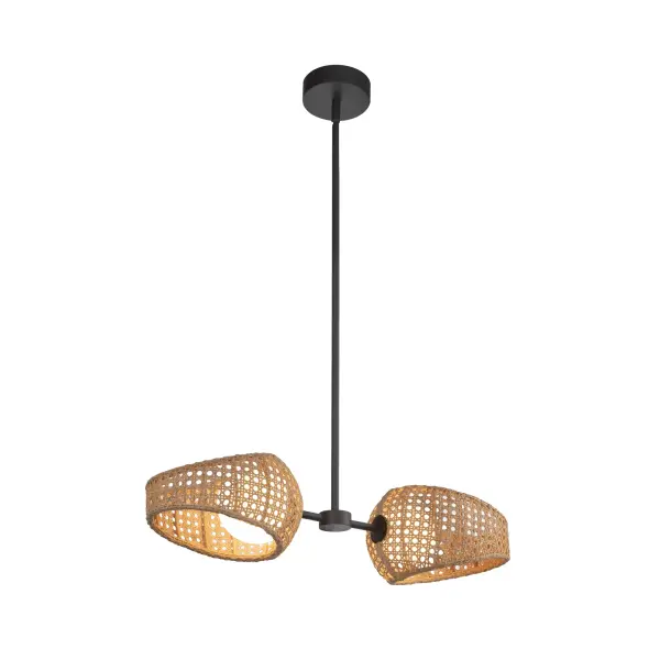 Lanai 2-Light Pendant in Matte Black with Opal Glass - Image 1