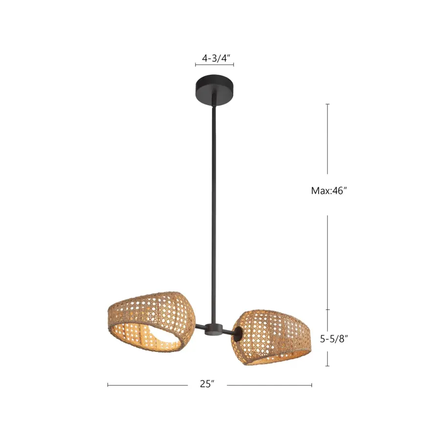 Lanai 2-Light Pendant in Matte Black with Opal Glass - Image 8