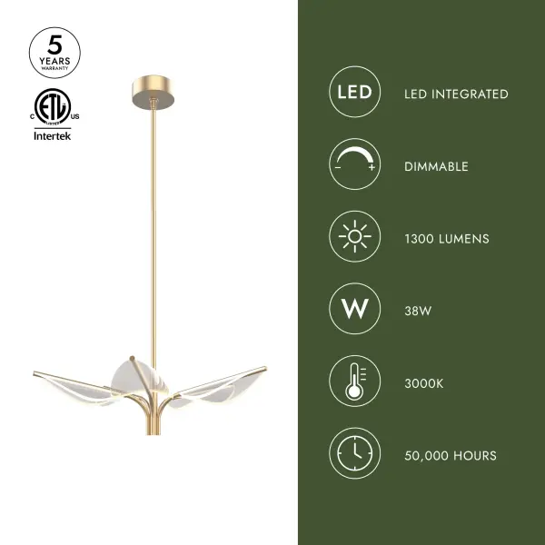 Flora 5 Head Pendant in Natural Brass - Image 2
