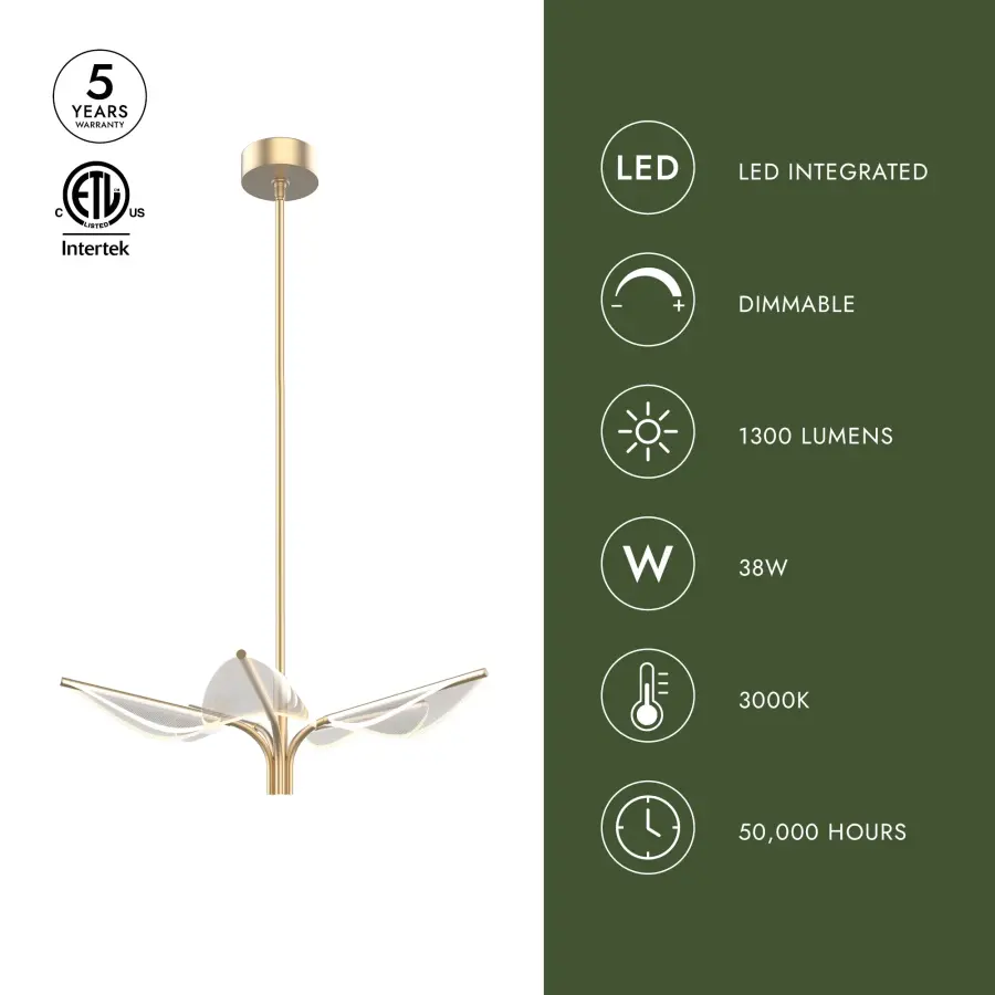 Flora 5 Head Pendant in Natural Brass - Image 2