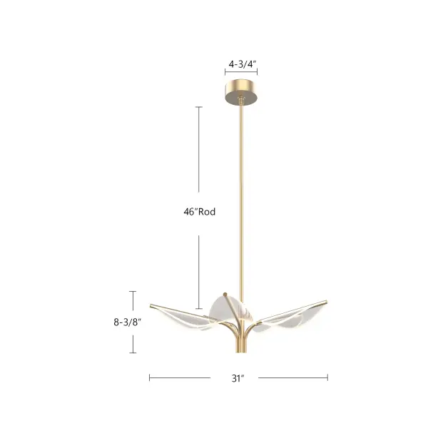 Flora 5 Head Pendant in Natural Brass - Image 5