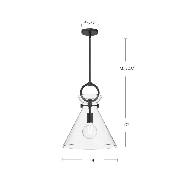 Emerson 14-Inch Pendant in Aged Gold with Clear Glass - Image 14
