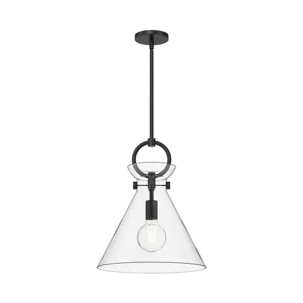Emerson 14-Inch Pendant in Aged Gold with Clear Glass - Image 9