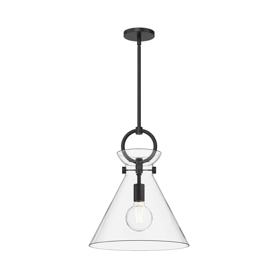 Emerson 14-Inch Pendant in Aged Gold with Clear Glass - Image 9
