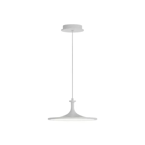 Issa 12-Inch Pendant Light in Brushed Gold - Image 1
