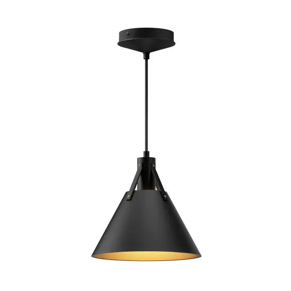 Archer 10-Inch Pendant in Matte Black - Image 1