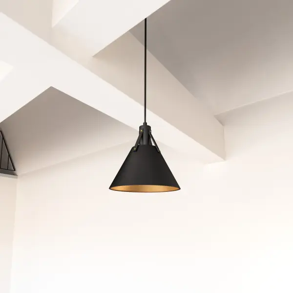 Archer 10-Inch Pendant in Matte Black - Image 2